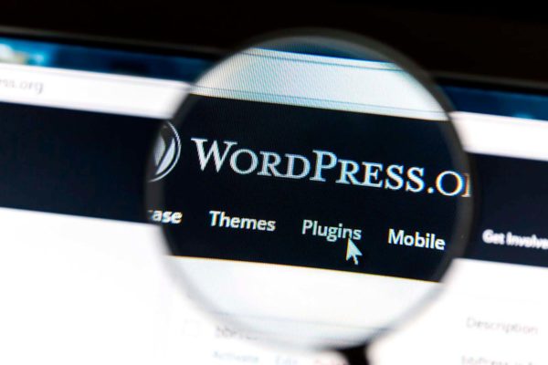 WordPress Teema, Lisäosa