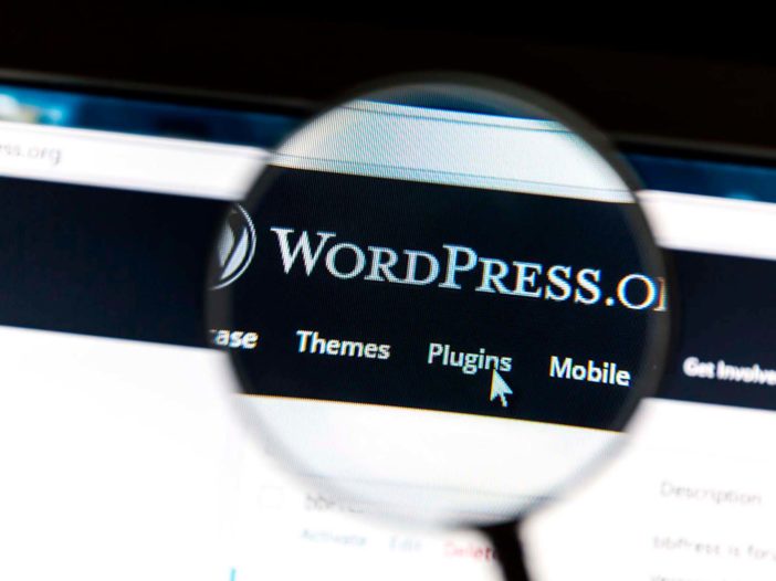 WordPress Teema, Lisäosa